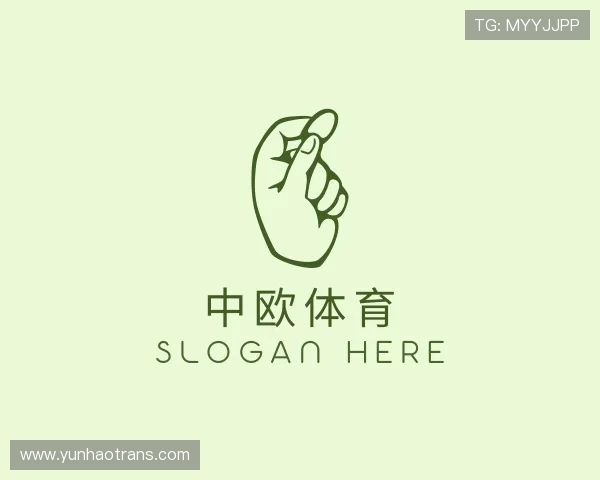 介绍中欧体育